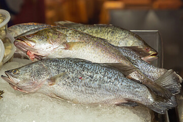 fresh fish on ice stall asia fish market closeup culinary background