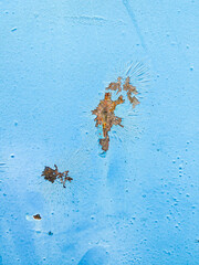 Background from painted rusty metal. Painted iron with damaged old paint and smudges of brown rust.