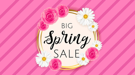 Big Spring sale banner template with camomiles and rose flower on pink stripes background and gold frame. Spring offer ads for e-commerce, on-line cosmetics shop, fashion beauty shop, store. Vector.
