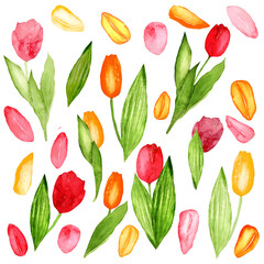 Seamless floral pattern with tulip flowers on white background.Template design for clothes,interior,textiles,wallpaper.Botanical art.