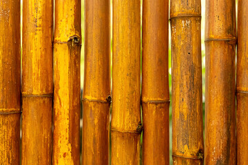 bamboo trunk folded into a vertical fence brown background basis natural