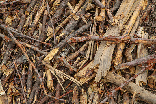 beaver dam made of wood stick pattern dark brown background