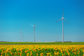 Landscape of blue sky and sunflower field with wind turbines generating electricity