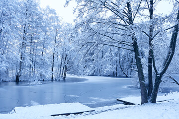 beautiful winter park with river