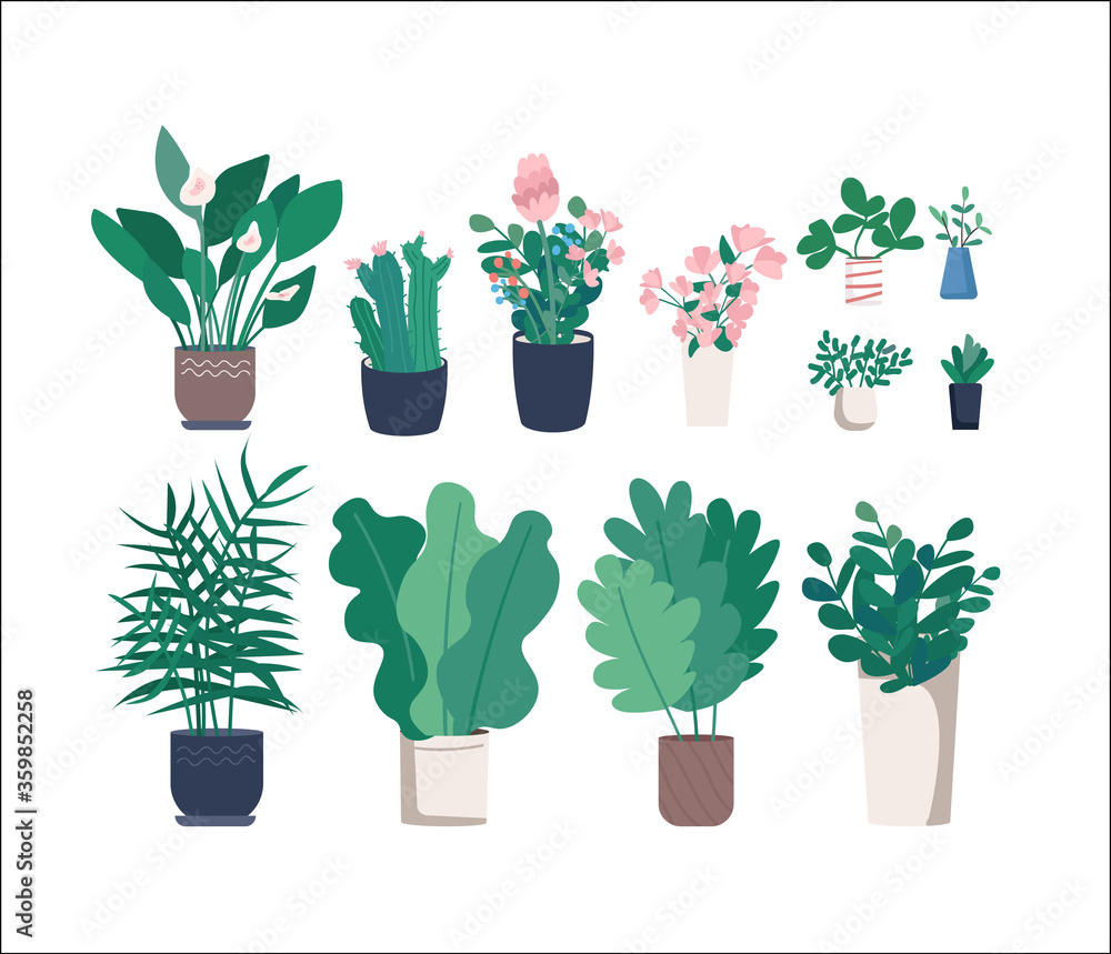 Poster different houseplants flat color vector objects set