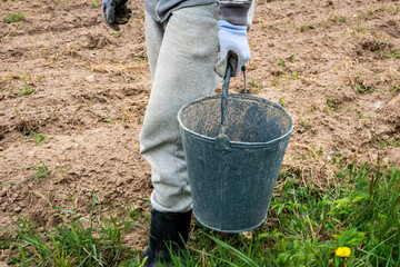 Woman collects stones in a bucket in the field. © Natallia