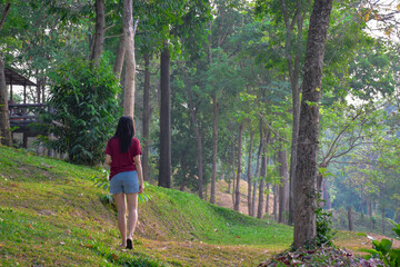 Obraz premium young woman walking in the woods