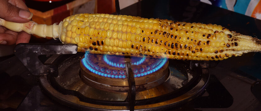 Side angle shot of Fresh roasting Corncobs on gas stove flame. it is also called as Bhutta or Makka in Hindi Language