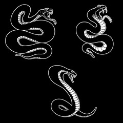 Set of illustrations of poisonous snake in engraving style. Design element for logo, label, sign, poster, t shirt. Vector illustration