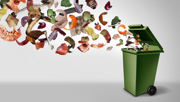 Organic Compost Waste