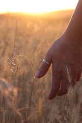  "sunset collection" "female hands 003"