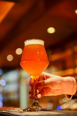 Beer in a tall glass with on wooden table top in a bar. Eating out concept.
