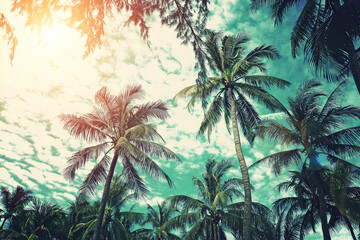 Vintage style coconut palm tree on tropical beach with blue sky