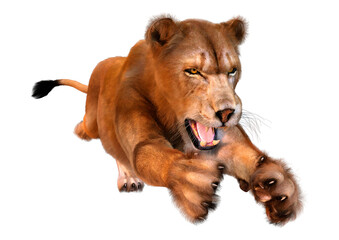 Obraz premium 3D Rendering Female Lion on White