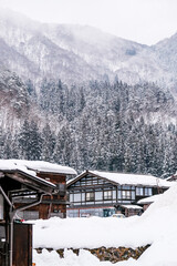The house and mountain view behind the villagein, Shirakawago Village,  Japan.