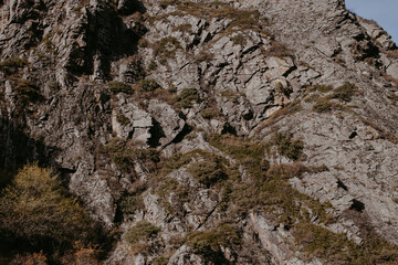 the texture of Caucasus mountains