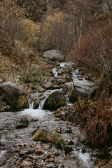 Obraz premium the waterfall in caucasus mountains 