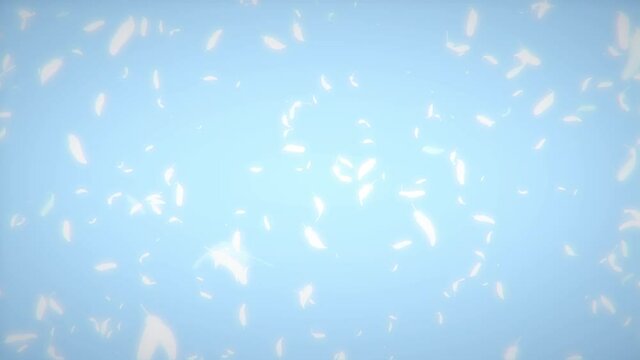 Loop background of flying feathers