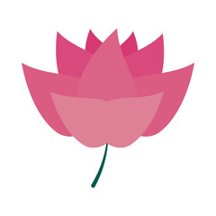 tropical flower icon, flat style