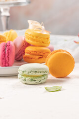 Colorful french macaroon cakes. Macaroons with jasmine flowers on white table background. Selective focus