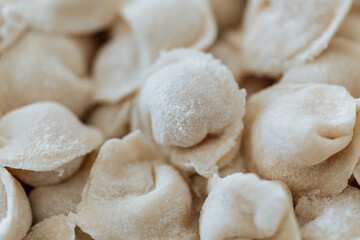 Fototapeta na wymiar Raw dumplings. Russian national food. Sprinkled with flour