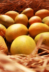 Mangoes Delicious Organic Healthy Fruit
