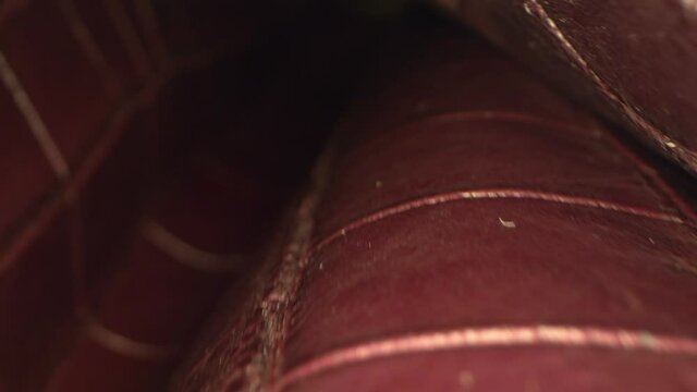 super close. details dyed crocodile leather. textile background