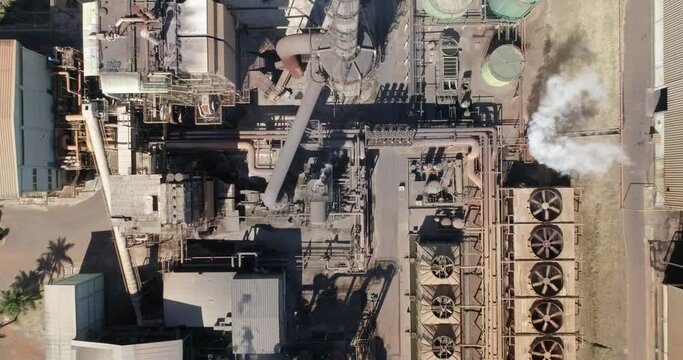 Sugarcane plant producing renewable energy. Ethanol industry. Alcohol. 4K.