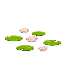 Nenuphars. Water lily. Plant on lake and pond. Big green leaf. Element of nature, forest and wild life. Swamp Pink flowers or lotus. Flat cartoon