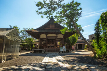 京都、下御霊神社の拝殿と境内の様子です