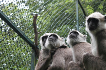 Serengeti Park
