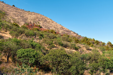 mountain landscape with blue sky and clouds