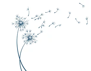 Fotobehang The Field dandelion flower sketch with flying seeds. © designer_an
