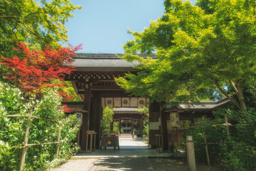 Fototapeta premium 京都、梨木神社の神門と初夏の風景です