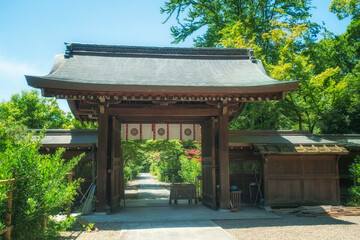 Obraz premium 京都、梨木神社の神門と新緑美しい参道の風景です