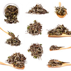 Collection of Bai Mu Dan (White Peony) chinese white tea isolated on a white background.