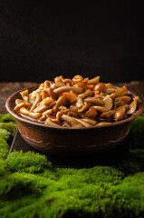 A large clay bowl with wild mushrooms (honey mushrooms), stands on an old wooden table with green moss. Eco products, natural gathering