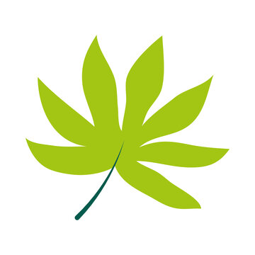 analia leaf icon, flat style