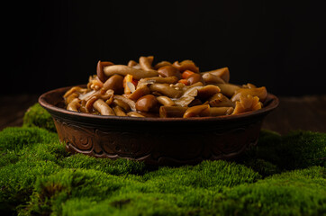 A large clay bowl with wild mushrooms (honey mushrooms), stands on an old wooden table with green moss. Eco products, natural gathering