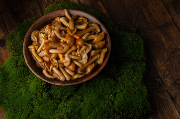 A large clay bowl with wild mushrooms (honey mushrooms), stands on an old wooden table with green moss. Eco products, natural gathering