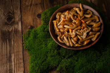 A large clay bowl with wild mushrooms (honey mushrooms), stands on an old wooden table with green moss. Eco products, natural gathering