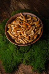 A large clay bowl with wild mushrooms (honey mushrooms), stands on an old wooden table with green moss. Eco products, natural gathering