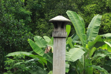 wooden fence in the garden