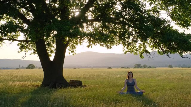A young Asian woman meditates at sunset under a large old oak tree. Woman exercising pose vital and meditation for fitness lifestyle club at the outdoors nature background. Healthy and Yoga Concept
