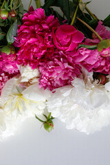 peonies