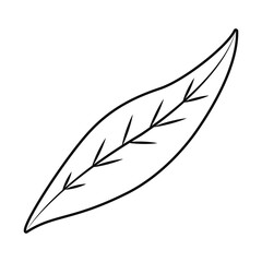 leaf icon image, line style