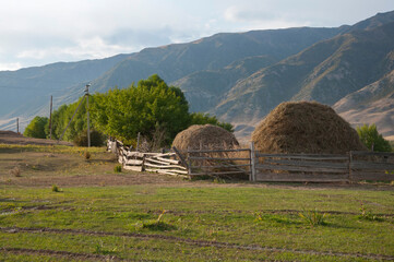 Haystack laying at the farm behind the wooden fence with the view over mountains, in small village in Kazakhstan
