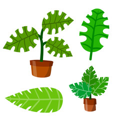 Home plant in pot. Set of Large green leaves.Element of decoration and gardening. Cartoon exotic flat illustration. Hobbies and flora