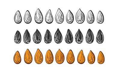Seed vector set Art line nuts, shape, sketch sign