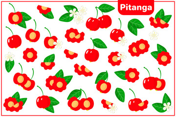 Set of vector cartoon illustrations with Pitanga exotic fruits, flowers and leaves isolated on white background